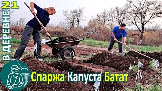 ???? Посадка: спаржи, капусты, батата Заморозки и парники Жизнь Гордеевых в деревне - Влог 21