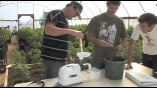 El poder del cannabis crudo (The power of raw cannabis - subtitulos en español)