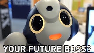 IT'S ALL CUTE! AR, Robots, & Your Future Overlords