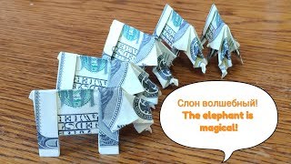 Как сложить оригами "Волшебный Слон" из ста долларов. How to fold origami "Magic Elephant". Bill.
