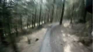 Coed llandegla - All the Blacks