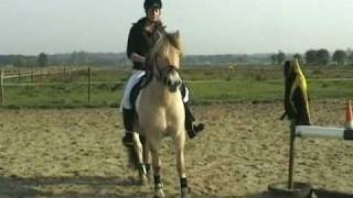 Presentatie het Fjordenpaard (Film)