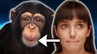 WTF HAPPENED TO EVIEBOT?