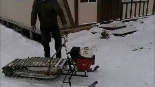 снегоход палочник - трубочник
