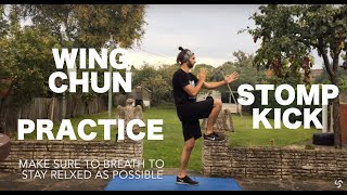 Wing Chun Stomp Kick - Level 1