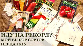 31 сорт перца / Мой выбор сортов на 2020