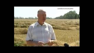 Как отделить зерна от плевел с минимальными потерями