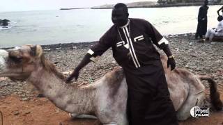 boubacar thiam  ndeup li