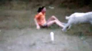 Goat Riding.