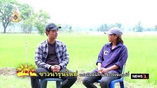 ชาวนารุ่นมมใหม่ แปรผืนดินทำนาข้าวไรซ์เบอร์รี่ ตะวันรุ่ง 07/07/2019