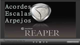 Reaper 5 Funções Avançadas Inserindo Acordes,Arpejos e Escalas