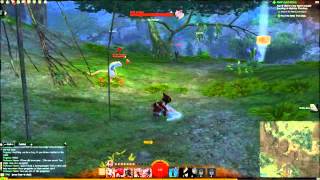 Guild Wars 2: Akk Wilds Vista