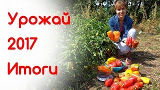 Урожай сладкого перца 2017