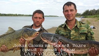 Рыбалка, Сазан, Сом, Судак, Лещ, Карпфишинг, Волга, Фидер