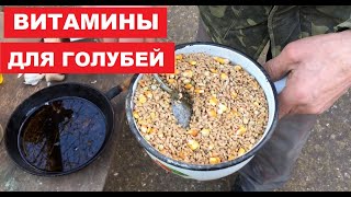 Чесночное масло для голубей