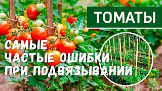 Подвязываем томаты! Как правильно подвязать томат в теплице и ошибки подвязки!