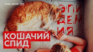 «Кошачий СПИД» / ЭПИДЕМИЯ с Антоном Красовским. Часть 7.  18+