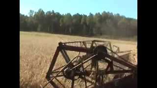 Full version of NIVA CK-5, CK5, COMBINE, НИВА, CK 5, Комбайн,