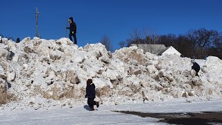 0209 Стрим. Современные русские эмигранты в США.