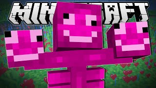 Minecraft | MINECRAFT HAS GONE CRAZY!!