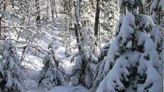 Grouse Lake Ice Fishing January 1 2011