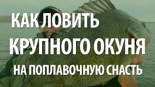 РЫБА ОКУНЬ на ПОПЛАВОЧНУЮ УДОЧКУ. ЛОВЛЯ КРУПНОГО ОКУНЯ