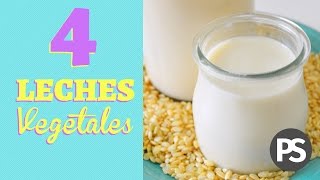 4 Leches Vegetales | EXTRA CALCIO | Qué son + por qué la uso siempre