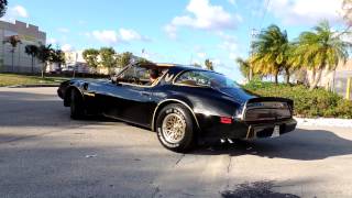 1979 trans am black beast tire shredder Bandit 4 speed