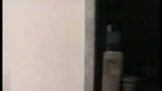 Artis Kena Intai (Skodeng)