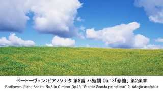静かなクラシック名曲集・Quiet Classical Music Collection（長時間作業用BGM)