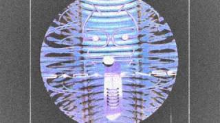 Parasense - Birddday