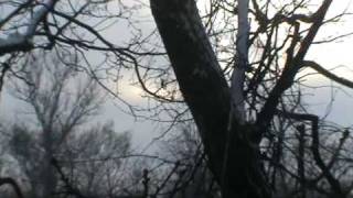 Tom Waits - Blue Valentines
