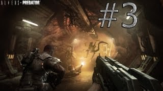 прохождение игры aliens vs predator 3 [часть3]