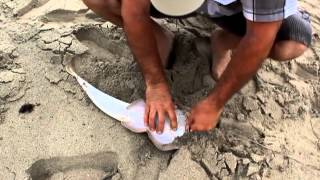 Levon Azizyan surf fishing