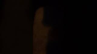 свист моторчика печки