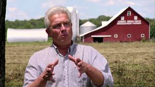 Ohio Hog Farm - America's Heartland