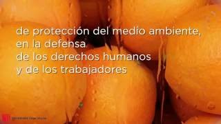 Responsabilidad Social Empresarial (ejemplos)