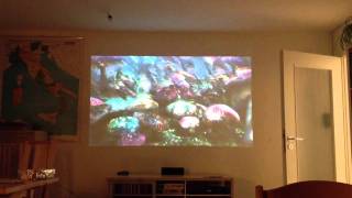 BenQ MS513
