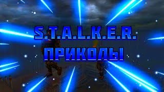 S.T.A.L.K.E.R.: Приколы под музыку.
