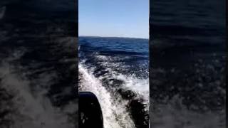 Лодка Обь 1