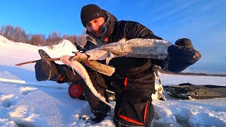 И ТУТ УСТАИЧА ПОНЕСЛО! ОДИН НА ЛЬДУ В МОРОЗ И СОЛНЦЕ. РЫБАЛКА 2020