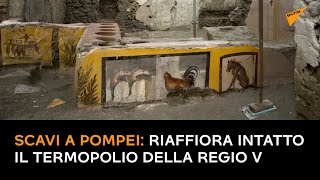 Scavi a Pompei: riaffiora intatto il Termopolio della Regio V