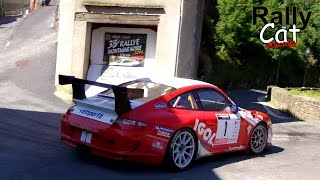 35e Rallye Montagne Noire 2014 (show&mistakes) / RallyCatRacing