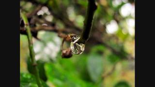 MY Photography (With canon powershot sx120 IS)
