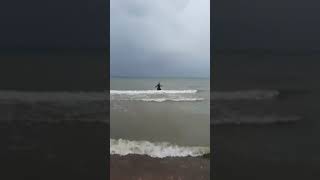 Надежда Савченко в платье купается в Балтийском море