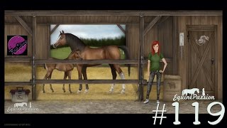 EquinePassion Browserspiel Let's Play: #119 – kurzes Accountupdate
