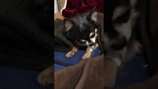 IMG 3207