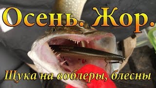 "Осень. Жор щуки". Рыбалка на щуку. Ловля щуки на спиннинг. Блесны. Воблеры. Балисонг, Орбит рулят.