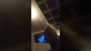 Jaystation is the best haters and my fans subscribe to imjaystation