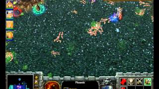 Warcraft 3: The Adventures of Rowan the Wise:The Frozen Throne(2/2)